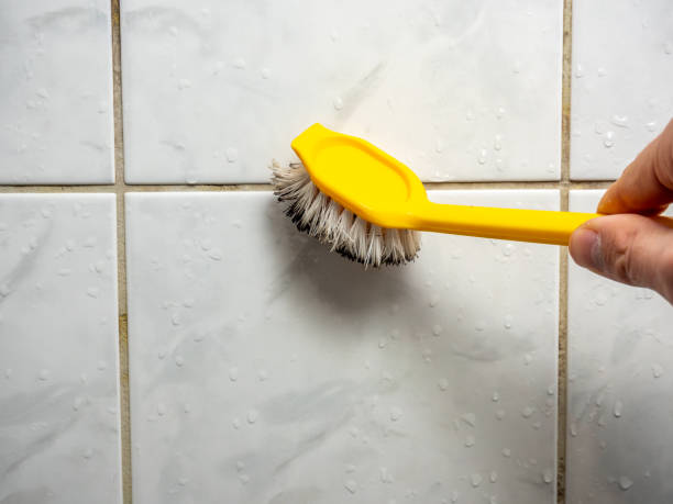 Best Toxic Mold Removal  in Hialeah Gardens, FL