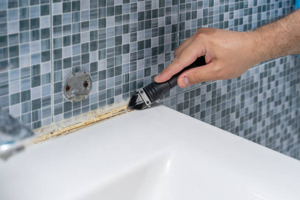 Best Fast Mold Removal  in Hialeah Gardens, FL